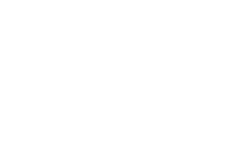 THE CRAVE - LOGO